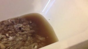 Стирка шерсти Альпака ***