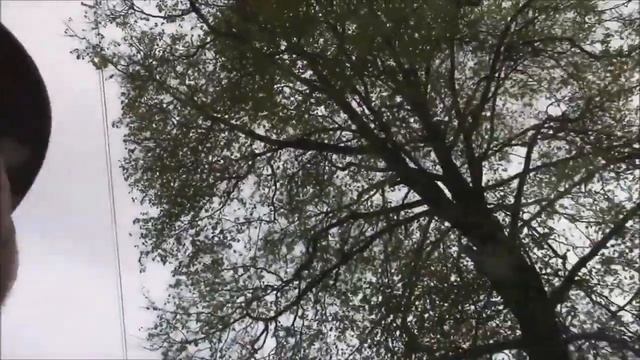 Пророк Санбой кричит и плачет смотреть онлайн