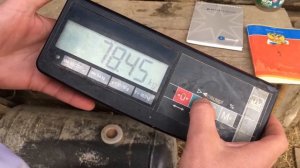 ИТОГИ ЭКСПЕРИМЕНТОВ ПО КОРМЛЕНИЮ ПОРОСЯТ