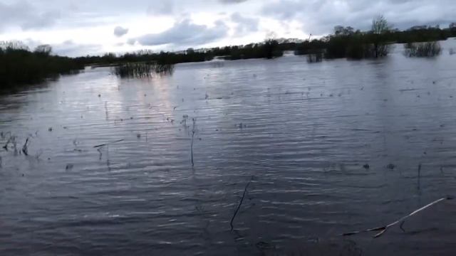 Вездеход "Аркаша". Водные преграды смотреть онлайн