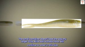 Berkley Gulp Alive Minnow Jar