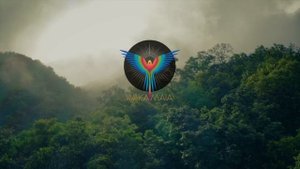 Bali Lockdown _ Ecstatic Dance 2021