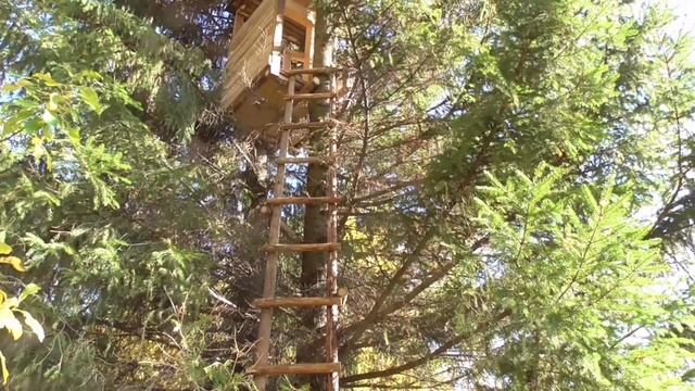 Постройка лабаза на ЛИСУ!!!. смотреть онлайн