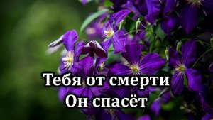 Гимны Надежды № 229 "Прохожий и дверей стоит" | Караоке с голосом | Христианские песни | Песни АСД