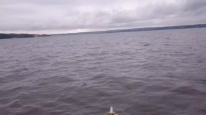 Обь -1 с мотором Ветерок 12