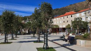 Основная деятельность Вашей фирмы в Черногории