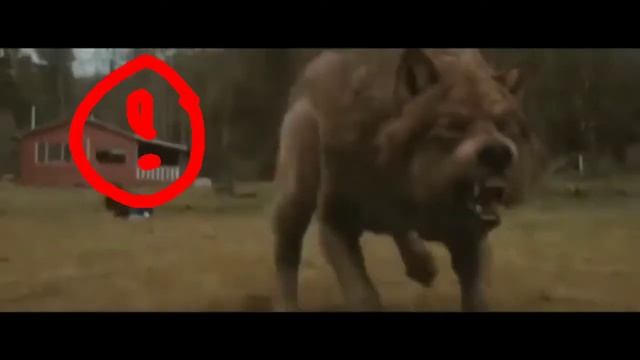 Польская корова в известных местах смотреть онлайн