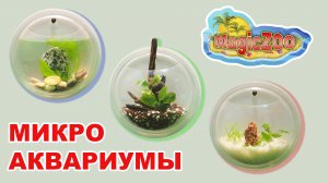 Настенный мини аквариум с алиэкспресс. Микро аквариум в твоем доме!