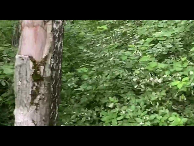 Обмыть