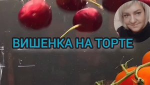 ГДЕ РАБОТАЮТ БЕЖЕНКИ! ЮЛЯ СТАР. ОБЗОР.