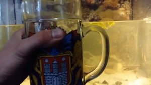 Лечение плавниковой гнили у рыб