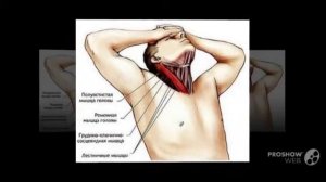 Болит шея с левой и правой стороны болит шея и рука с правой стороны