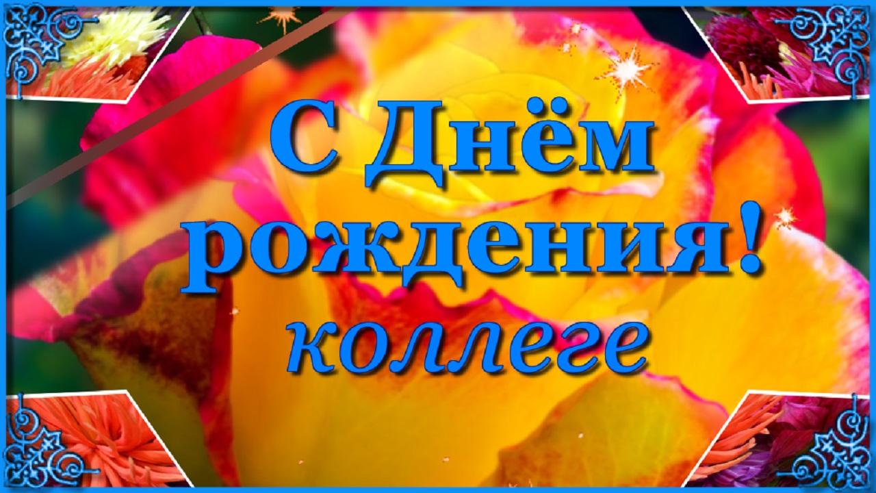 Поздравление с Днем рождения Коллеге женщине!