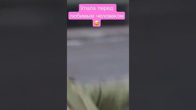 Дорама Босс и я пора кушать Шань Шань 💟