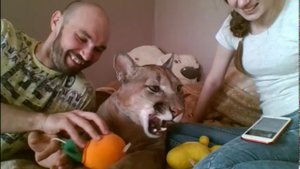 Стрим Месси на кровати