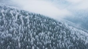 Красивейшие виды Земли Великолепная природа нашей планеты Приятная Фоновая музыка