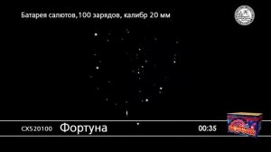 СХ520100 Фортуна