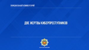 Две жертвы киберпреступников