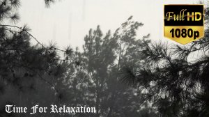 Мгновенный сон под звуки сильного дождя, грозы и раскатов грома / Relax