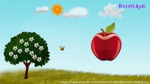 Учим Фрукты. Яблоко. Что такое яблоко и как оно появляется. Развивающий мультик