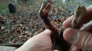 Обзор Дикого Хищника Добыча NECA Ultimate Feral Predator Prey