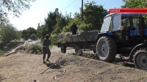 ТК «Родной». Второй этап очистки прибрежной линии городского озера прошел в Кировске