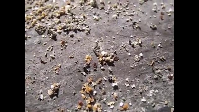 лекарственные подкормки пчел весной - Апимакс смотреть онлайн