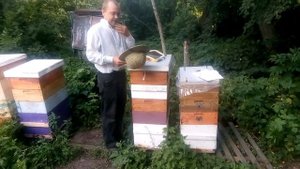 Маска пчеловода с металлической сеткой