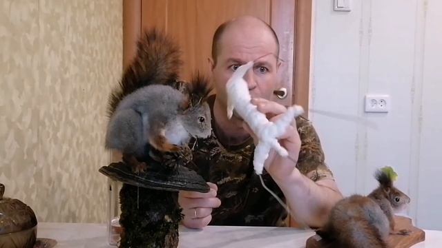 Чучело белки смотреть онлайн