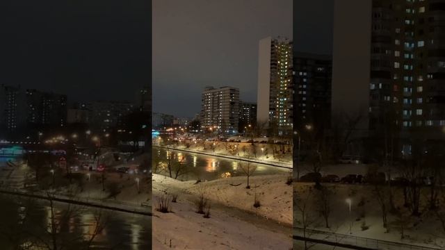 Большой Чертановский пруд, г. Москва, 13.12.2022