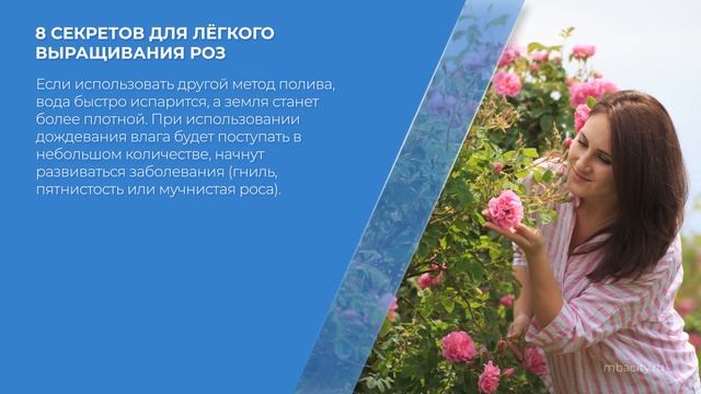 Курс обучения 