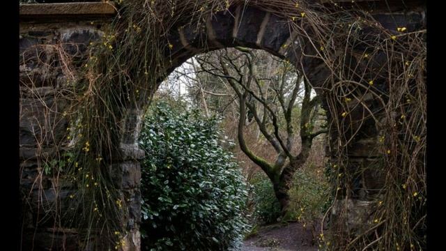 ЗАТЕРЯННЫЙ ОСТРОВ часть2 стихи Леночки Фроловой смотреть онлайн