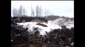 Самовольное снятие и перемещение плодородного слоя почвы