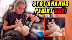 Vlog ➤ ОПЯТЬ КОЛЯТ ЛАПКИ 😢 / 4 часть