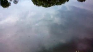 Рыбалка в Сосенках