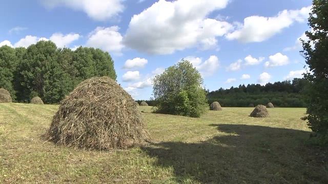 Природа Зарисовки. Окрестности с. Мишкино.