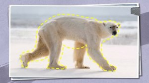 Вот Чего Боятся Все Белые Медведи