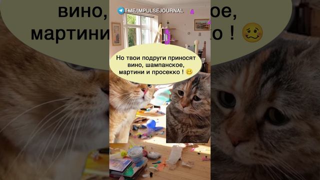 Борьба за мир #мыкотики #вмем #разговор #анекдот #шутки #кот #юмор #смешное #прикольно #мемы #cat