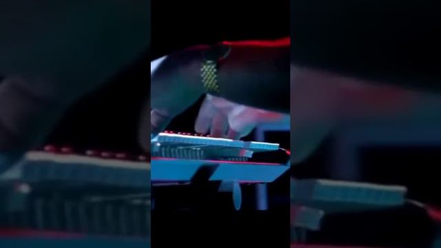 "Белые розы" Шатунов Ю.