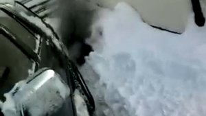 Toyota Surf 2L-TE problem