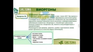 САД -AKLON #Виоргон 1# - Базовый виоргон