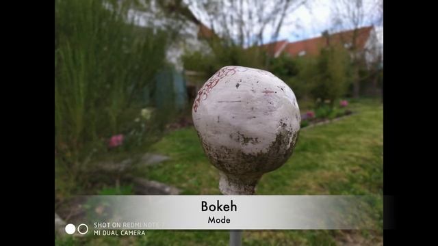 Redmi Note 7 Camera Test смотреть онлайн