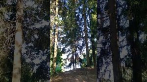 У каждого свой путь. Поэзия осознанности. Красота души. Время для себя.