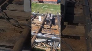 Самодельная штригельная борона для чеснока на Т-25