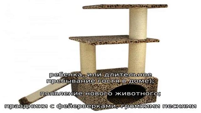 Ошейник с феромонами для кошек: какой лучше, отзывы