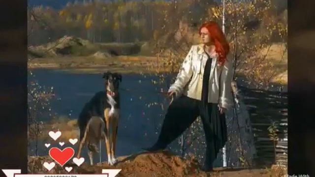 Русской псовая борзая в Москве, 8(916)702-11-08
