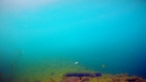 РЫБАЛКА НА ЩУКУ НА ГЛУБИНЕ 4 МЕТРА