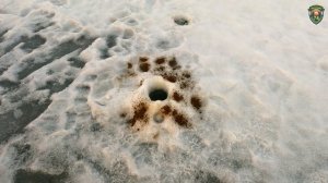 С жерлицами по Челябинской области ч.2. Аргази. Улов. Испытали подводную камеру. Вода на льду.