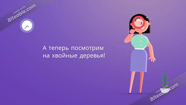 Какие бывают растения
