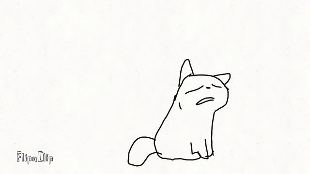 Маленький котик